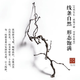 接运猫龙枣干枝树枝树干装饰弯曲插花干枝风干干花龙枣枝11011 天然龙枣枝15885cm一物一拍 干树枝