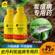 Stanley Lime Sulfur Mixture, Special for Anthracnose, Commonly Used Medication for Rose Flower Diseases and Pests, General Fungicide for Flowers and Plants 1000g Comes with a dropper when ordering