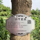 Tree tag, waterproof tree name tag, customized stainless steel tree sign, tree introduction, fruit tree hanging tag, customized product consultation customer service according to size and quantity
