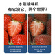 ZMOR Select Refrigerator Deodorizer Long-lasting Sterilization and Deodorization for Fruit and Vegetable Freshness Preservation Compact and Portable Refrigerated Area Freshness Zone D2 Coconut Milk White Refrigerator Deodorizer Fruit and Vegetable Freshness Preservation and Sterilization