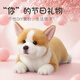 Komet Corgi dog plush toy doll doll ornaments pillow New Year's gift Valentine's Day birthday gift for children