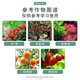 2% benzylaminopurine rose fruit tree flower flowering and germination-preserving flower and fruit-preserving cytokinin 10ml*5 bags
