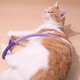 Jingdong Express Cat Bite Rope Cat Toy Self-Happiness and Boredom Relief Artifact Resistant to Bite and Molars Cat Stick Supplies Upgraded One Bite Rope 70cm-Purple