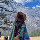 
OLOEY Western Cowboy Hat Tibetan Hat Men and Women Summer Outdoor Northwest Retro Desert Cowboy Hat Wide Mongolian Hat Cowboy Hat [Light Coffee]