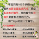 外国名校大学校徽校训标志logo牛津大学剑桥教室布置自粘墙贴 4856 超大