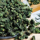 Maulbeerblatt Tee senkt 丨 Blutzucker Doppelte Melone Grün Geld Weiden Mais Tintenfisch Tee Unter Blutdruck Tee niedrigere 丨 Harric Sahne Beat Maulbeerblätter Winter Maulbeertee nach dem Gebrochen alter Maulbeerblätter zum Tee Donggua Tee Peking Tongrentang Tee Maulbeerbeere Tee + Lotus Blatt Tee Offizielle Flaggschiff.