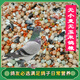 New pigeon food 20 Jin Jin is equal to 0.5 kg. Corn-free pigeon food with corn pigeon feed racing nutrition pigeon food for adult and young pigeons 5 Jin Jin is equal to 0.5 kg. No wheat and corn high-quality pigeon food 20 Jin Jin is equal to 0.5 kg.