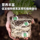 Siweibo nutritional soil for growing vegetables and flowers, general-purpose organic flowering soil, planting soil, soil for green plants, potted peat, 20Jin Jin is equal to 0.5kg, organic general-purpose nutritional soil