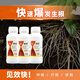 Guoguang Root Promoting Rapid Rooting Liquid Powder Seedlings Flower Cuttings Transplanting Indocynaphthyl Acetic Acid Guoguang Genpan 200ml*1 Bottle