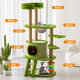Cat Rack Cat Cat Rack Rack Momed Rattan Mat Nest Nest Cat Arbre Capsule Integrate Space Cat Toy Cat Small Size N'occupe pas l'espace Aisha Milano-T15122CM Plateforme de saut multicouche