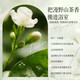 [Camellia Fragrance] Le shampooing de camélia élimine les pellicules et contrôle l'huile duveteuse et le parfum durable pour nourrir l'hydratation et hydrater des camélia de grande capacité [3 bouteilles de shampooing + 2 bouteilles de gel de douche]