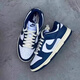 NIKE老陆DUNK LOW男女低帮轻便胶底耐磨板鞋FJ7067-114 DD1391-400 38.5