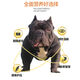 Lean Fresh Raw Bully Special Dog Food 10 Jin Jin is equal to 0.5 kg 40 Jin Jin is equal to 0.5 kg 20kg large bag packed with adult dogs, puppies, medium and large dogs, general purpose Liupin + fruit and vegetable grains + goat milk grains + blueberry grains + nutrition 40 Jin Jin is equal to 0.5 kg, packed with super freeze-dried + nutritious hair beauty