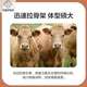 Zhengda Huadong 4 beef cattle premixed calf fattening cattle feed rapid fattening and weight gain without pulling the frame