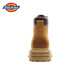 Dickies Men's Men's Boots High Top Fashion Bottes Men's Boots Boots Boots Boots Boots Men's Earty 41 - Style masculin