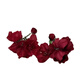 Carvelove French Retro Retro Rose Flower Pendientes Lectin Super Fairy Red Nicho Temperamento Vacaciones Joyas de boda EH1396 Red Rose Ear Clip Broche