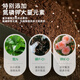 Green nutritional soil for flower cultivation, universal flower soil, potted soil, vegetable planting soil, gardening succulent flower fertilizer soil flower mud