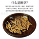 Authentische tibetische Gegend naqu großes gebrochenes Gras frisch cordyceps sinensis gebrochenes gras cordycep