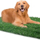Pet Lawn Dog Toilet Lawn Urgent Mat Courtyard Artificial Lawn Pet Supplies Balcony Decoration Cutout Large (70*46cm)