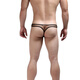 Men's Thong Gay Men's Underwear Gay Sexy Boys Underwear See-through Pouch Low-Waist Fine Mesh Sardine White L