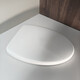 General Wrigley Toilette AB128611181113 Harnstoffformaldehyd Abdeckplatte Nachverkauf Toilette Stummer Verlangsamung mit Dämpfung B-Abdeckplatte Ab1118 1280 1283 Harnstoffformaldehydabdeckung