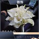 婚礼手捧花新娘结婚当天感婚纱照领证仿真郁金香求婚毕业花束 蝴蝶兰新妇罗 手捧花 0支