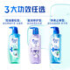 Haifeis Saldp Muscle Bottom Hydrating Repair Shampooing 360G hommes et femmes shampooing hydratant anti-phare