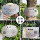 Tree tag, waterproof tree name tag, customized stainless steel tree sign, tree introduction, fruit tree hanging tag, customized product consultation customer service according to size and quantity
