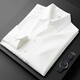 PRIDEME Workplace Commuter Autumn Thin Shirt Long Sleeve Men's Slim Non-Soled Anti-Wrinkle White Business Casual Shirt Men 6623-White M