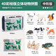 纽奇动物模型玩具diy拼插立体拼图儿童早教益智中阶认知生日礼物盒