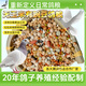 New pigeon food 20 Jin Jin is equal to 0.5 kg. Corn-free pigeon food with corn pigeon feed racing nutrition pigeon food for adult and young pigeons 5 Jin Jin is equal to 0.5 kg. No corn pigeon food with peas 20 Jin Jin is equal to 0.5 kg.