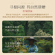 武夷山大红袍陈素全武夷山大红袍乌龙茶武夷岩茶半岩肉桂一级50g中火罐装