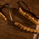 Guancaigui [Naru, Tibet] Wild Cordyceps Zuckerzucker -Nahrungsergänzungsmittel für ältere ältere Ernährungsbox Cordyceps Geschenk Praktische Klasse Grade Grade Grade Grade Grade Grade Grade Grade Grade Grade Grade Grade Grade Grade Grade Grade Grade Grade Grade Grade Grade Grade Grade Grade Grade Grade Grade Grade Grade Grade Grade Grade Grade Grade Grade Grade Grade Grade Grade Grade Grade Grade Grade Grade Grade Grade Grade Grade [etwa 2 Wurzeln] 10 Gramm 20 Wurzeln Home Pack