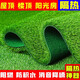 Hanoufei simulated lawn carpet, fake turf bedding, plastic outdoor artificial court, artificial fence, kindergarten green floor mat, 2 cm, newly upgraded 15-pin super-high-density secondary adhesive, anti-aging S-class model (2 meters wide, 1 meter long) 2 square meters (up to 25m, how long do you need to take a few pieces)
