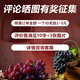 DIYUE Brandy Grape Spirits Inländische 72 Grad seltene Höhe 500 ml Ningxia Verbesserte destillierte Spirituosengeschenke in den Ferien 500 ml 42+52 pro 1 Flasche Spirituosen
