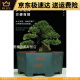 宜兴六方紫砂花盆特大兰花盆绿植花卉大号六角陶瓷盆景盆的 选691小号