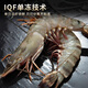 Swiss dolphin, Vietnamese extra large live frozen black tiger shrimp, Penaeus monodon, seafood, net weight 3Jin Jin equals 0.5kg (10-20/KG)