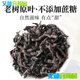 通用青钱柳茶茶【植物】江西修水青钱柳原叶原产地原生 植物界的大熊 古树嫩叶青钱柳装 250g*2罐