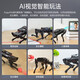 Fantasy Robot Four-legged Robot Dog PuppyPi Bionic Intelligent Programming AI Vision Mockup Raspberry Pi 4B/5 Introduction Edition (without vision) Raspberry Pi 4B/4G