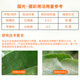 Guoguangpu Cai stone sulfur mixture fruit tree nursery orchard clearing garden sterilization mites red spider protective fungicide Guoguang Pucai 1kgX1 bottle stone sulfur mixture