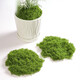 Runhuanian imitation moss landscaping fake moss yarn turf green plants micro landscape plant decoration artificial bionic lawn paving filamentous moss light green 50g can be paved 30*60cm