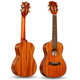 Ibanezadl Veneer Ukulele Femme Débutors Instruments de musique Small Guitar étudiants Gift's Gift [Vector Board] Shenmu légende + accessoires complets + sac en coton 26 pouces