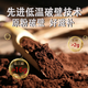 
Gu Shitang Break Wall Ganoderma lucidum Spore Powder Gift Box Enhancement Immunity Health Products Nutritional Products Tonics Suitable for the elderly [Trial Triterpenes 16g Polysaccharide 2g] 3 bags of trial pack