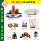 Water-absorbing stone, natural water-absorbing stone, bonsai original stone, water-absorbing stone, rockery stone, running water fountain, fish tank, stone landscaping stone installation. Buy the complete set (stone + basin + ornaments) and get free grass seeds and stones. 10-14cm water-absorbing stone