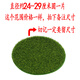 Simulated round grass floor mat green space turf micro landscape bonsai moss desktop sand table model decorative green plant lawn 10 small foam stones cannot be soaked in water