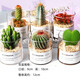 Succulent plant cactus potted indoor succulent cactus small potted flowering cute desktop green plant yellow hairy cactus + glass pot + gold sand + nutrient soil with pot