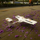 Aircraft Sawang Seagull Bionic bionic oiseau d'oiseau d'oiseau d'air Hélicoptère Hélicoptère Plan de parc à ailes fixes à double moteur bon