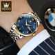 Schweizer authentisch zertifizierter Code Vollautomatischer mechanischer Herren Uhr Waterdes leuchtend trendy und vielseitige Herrenbeobachtung Steel Belt-6630 Herren Uhren-Gold-Grey-Oberfläche
