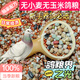 New pigeon food 20 Jin Jin is equal to 0.5 kg. Corn-free pigeon food with corn pigeon feed racing nutrition pigeon food for adult and young pigeons 5 Jin Jin is equal to 0.5 kg. No wheat and corn high-quality pigeon food 20 Jin Jin is equal to 0.5 kg.