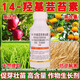 14 HydroxyBrassinosteroid Plant Growth Regulator Fruit Tree Vegetable Increase Production Authentic Foliar Fertilizer Promotes Flowering and Fruit 10 Bottles